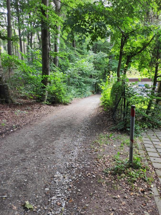 Ferienwohnung Waldblick Teutoburger Wald Эрлингхаузен Экстерьер фото